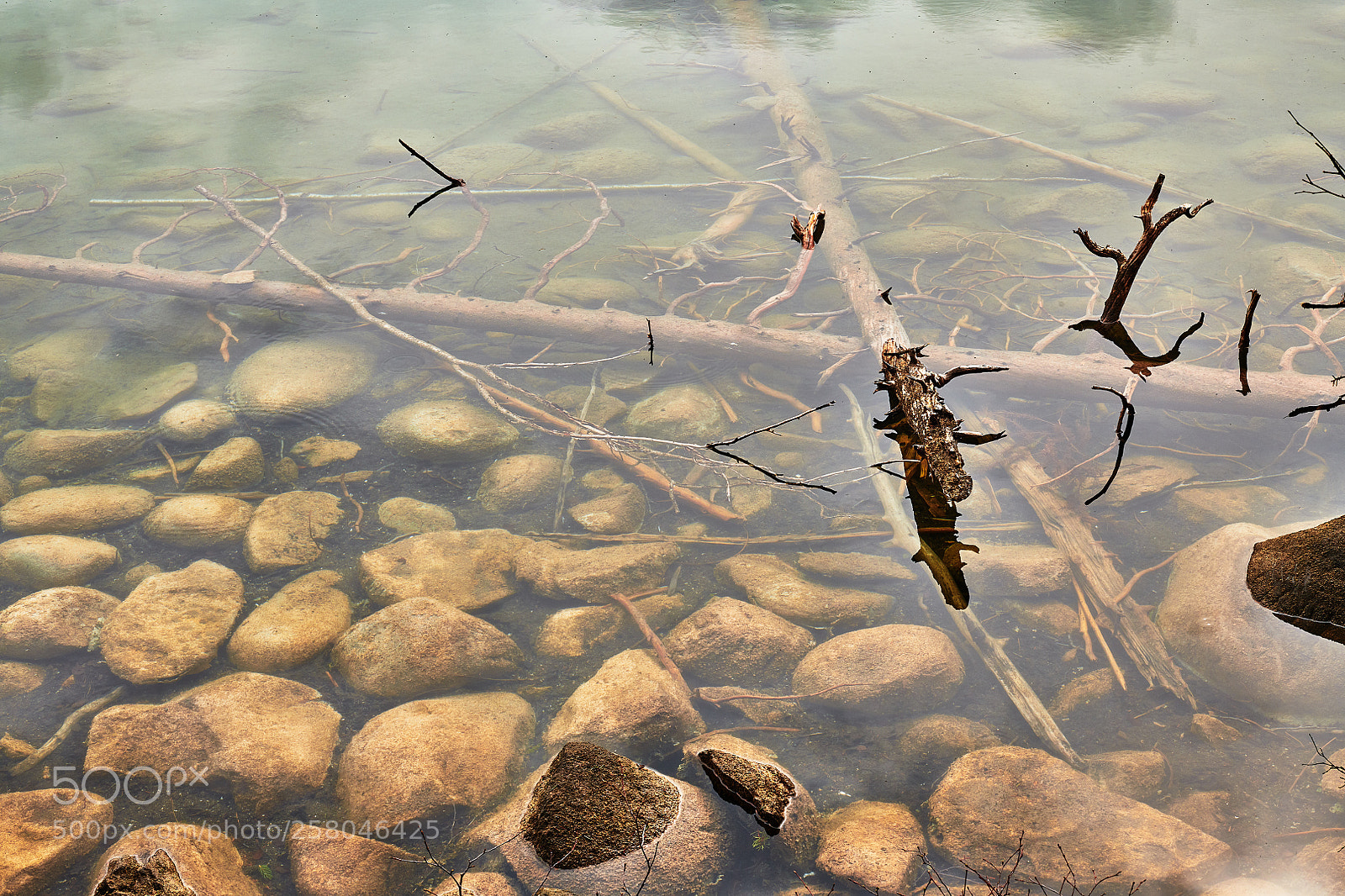 Nikon D850 sample photo. Underwater logs and rocks photography