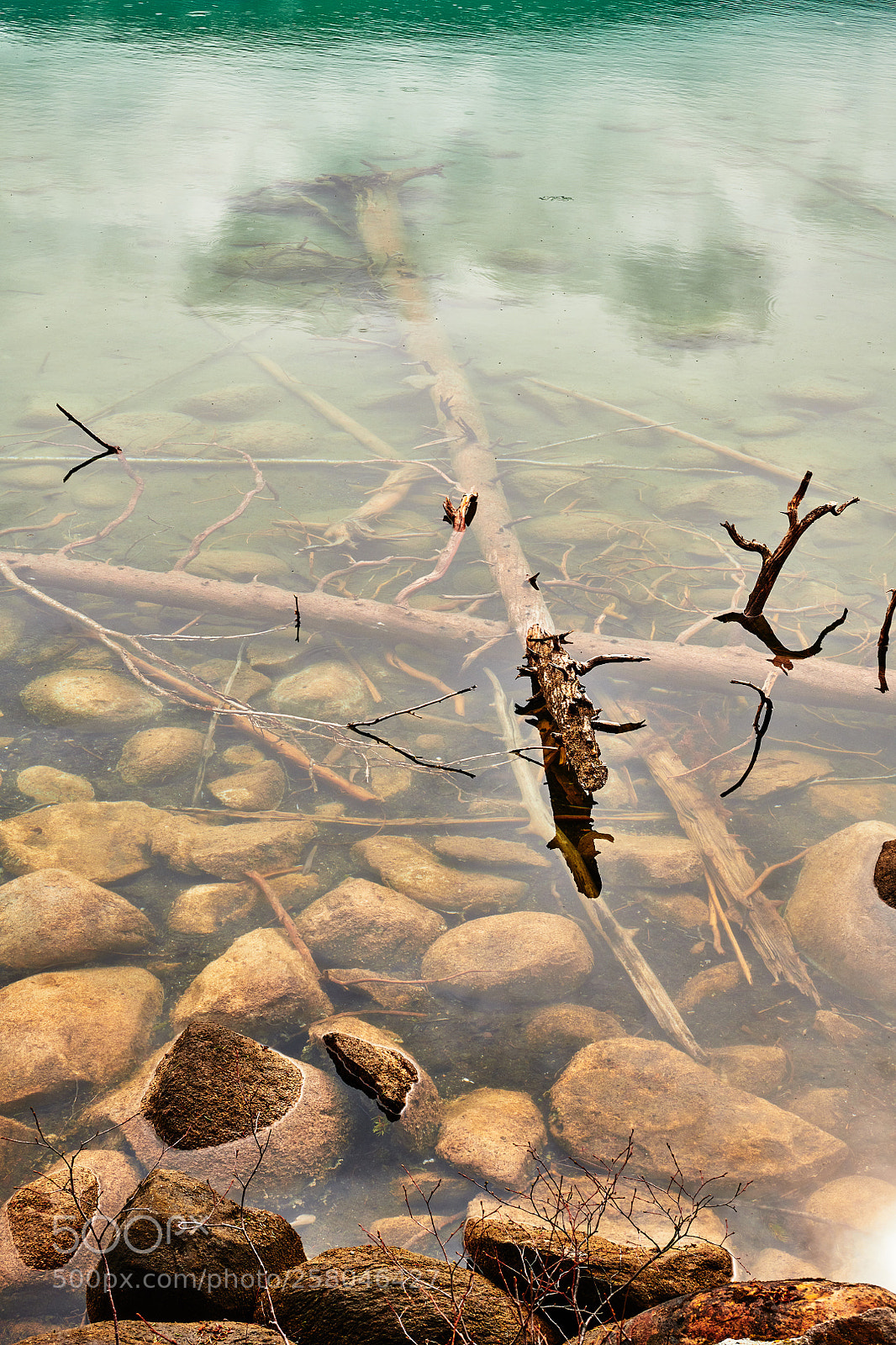 Nikon D850 sample photo. Underwater logs and rocks photography