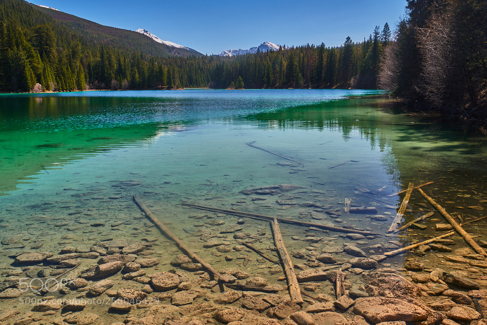 Nikon D850 sample photo. Fifth lake valley of photography