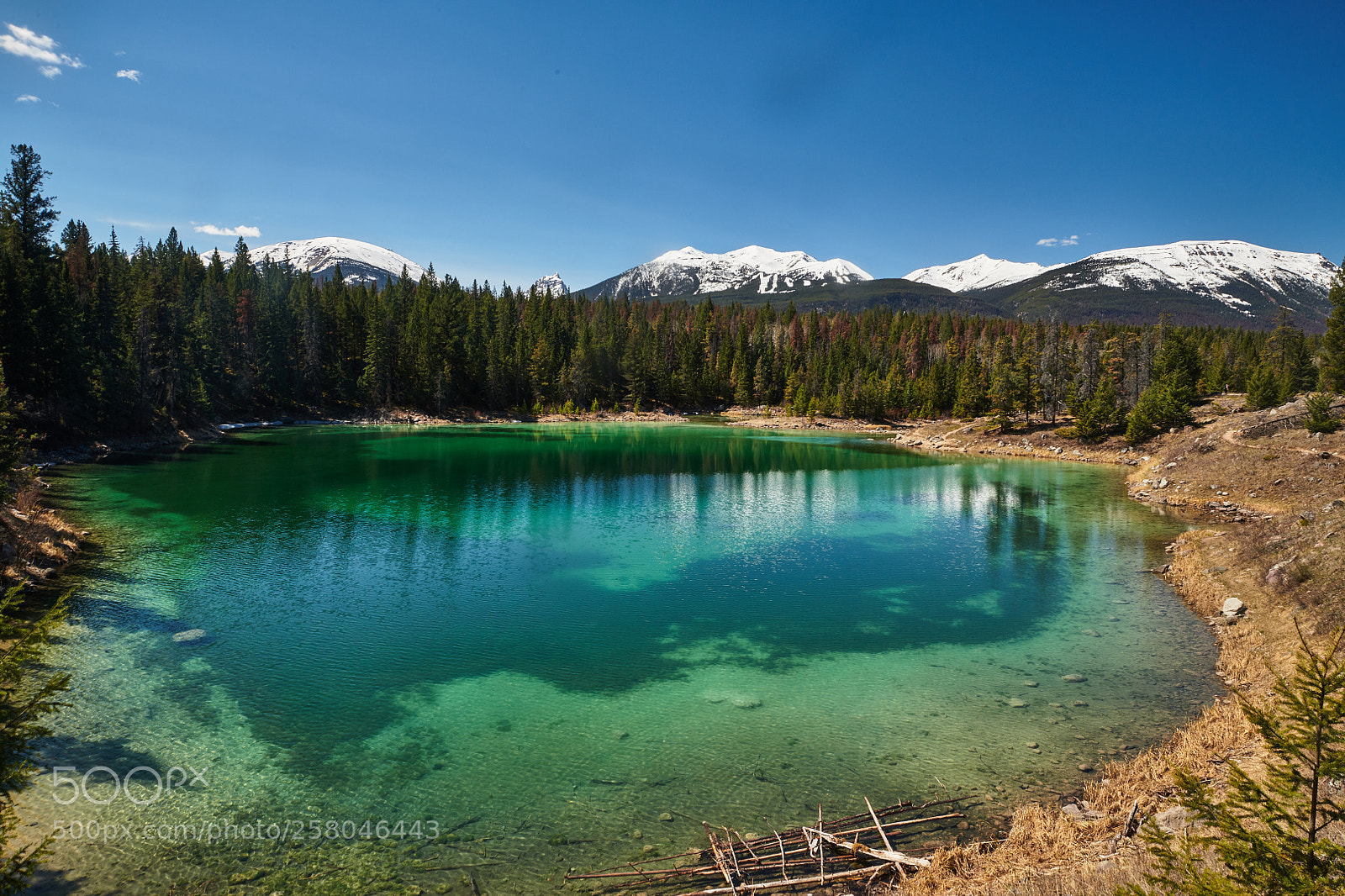Nikon D850 sample photo. Fourth lake valley of photography