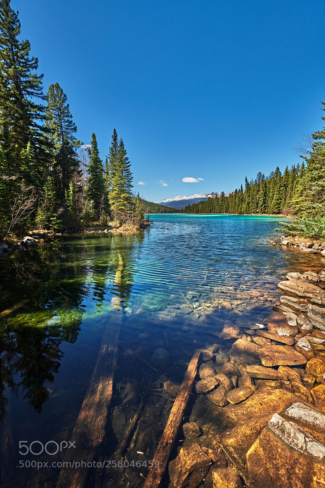 Nikon D850 sample photo. First lake valley of photography