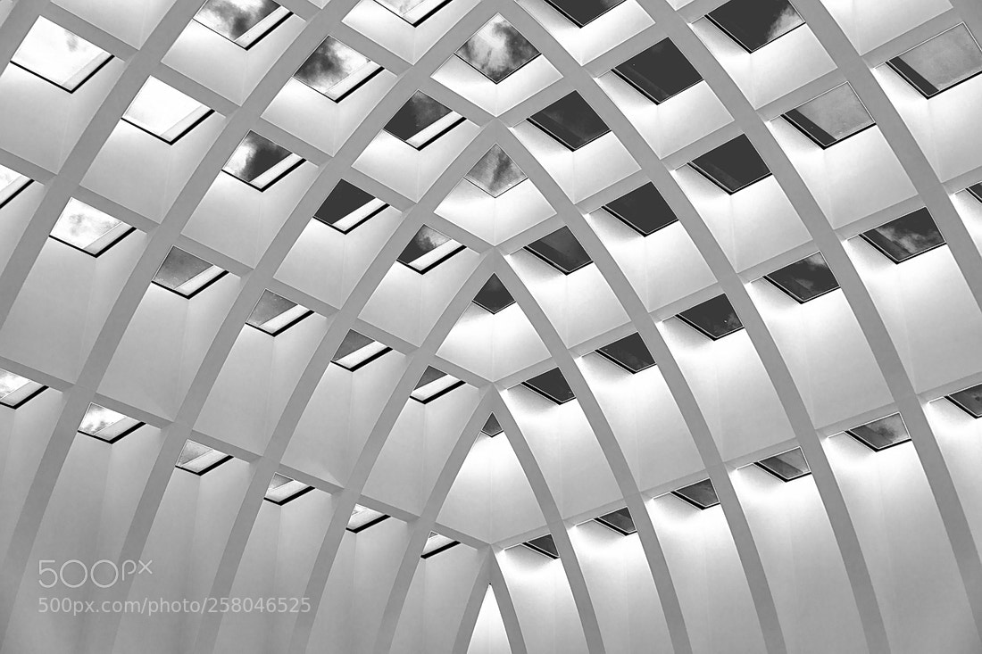 Canon EOS 5D Mark IV sample photo. Skylight photography