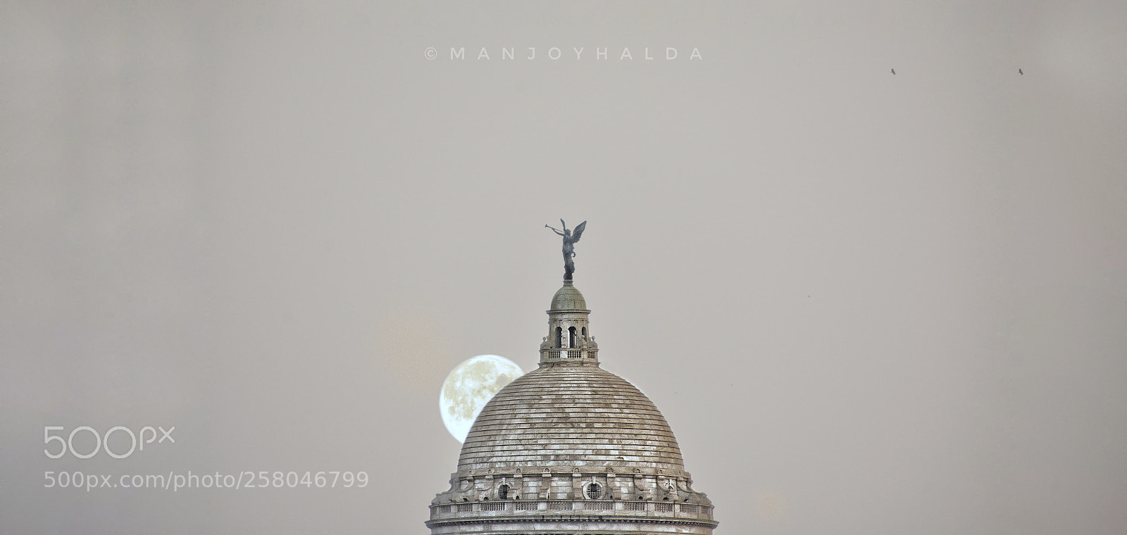 Nikon D3400 sample photo. Untitled photography