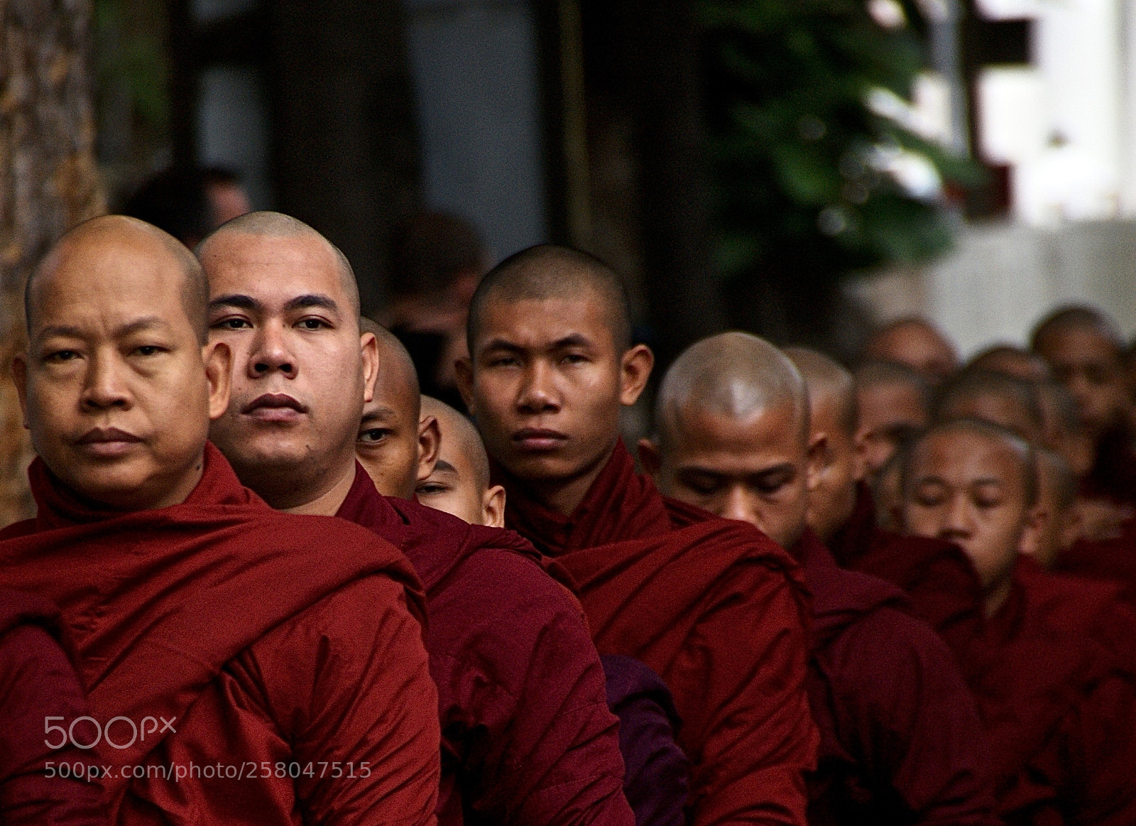Sony Alpha DSLR-A300 sample photo. Burma road photography