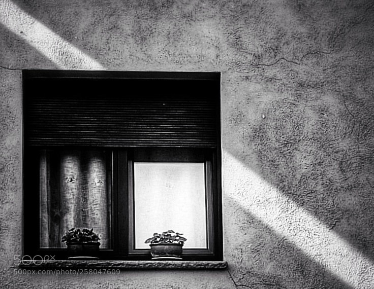 Leica Q (Typ 116) sample photo. Moviment de croma amb photography