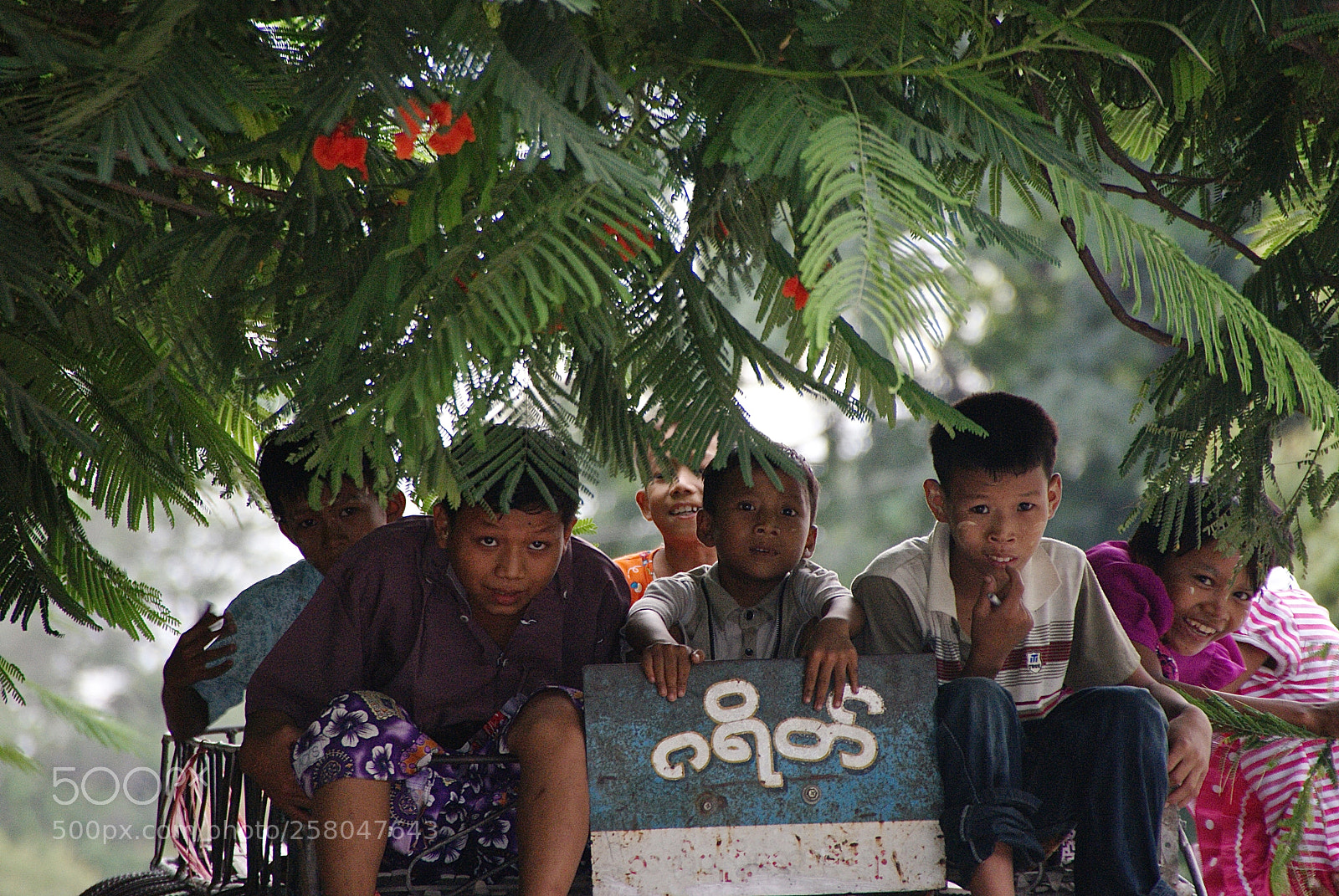 Sony Alpha DSLR-A300 sample photo. Burma road photography