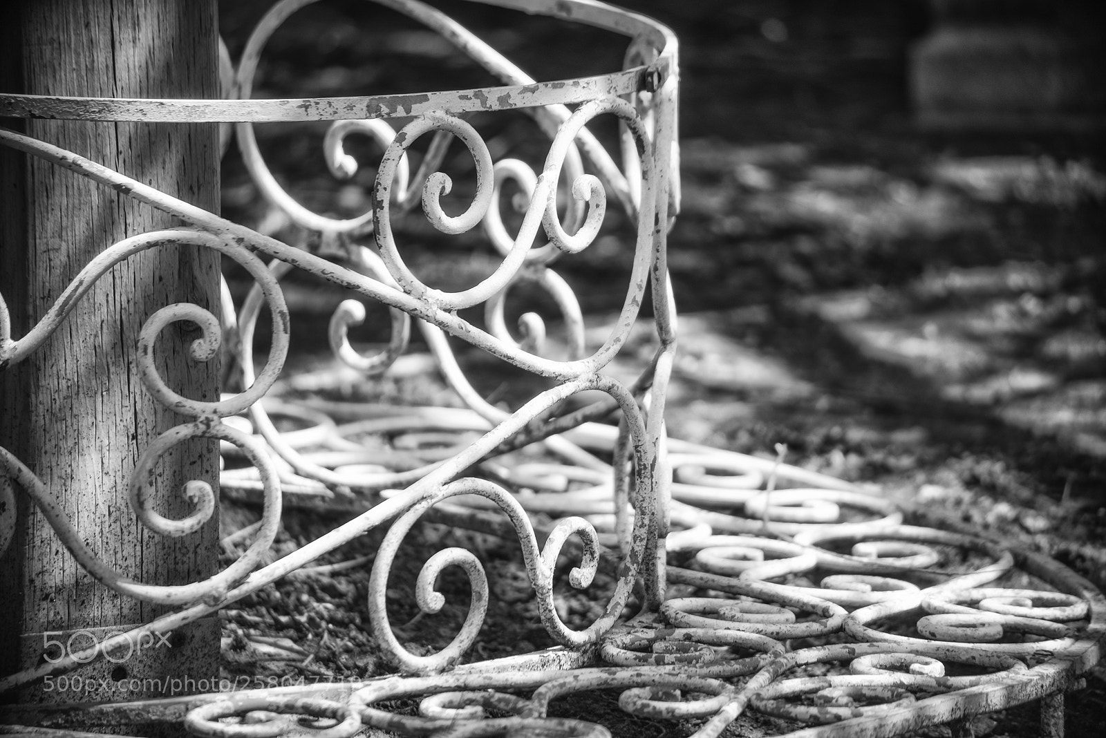Nikon D810 sample photo. Garden bench photography