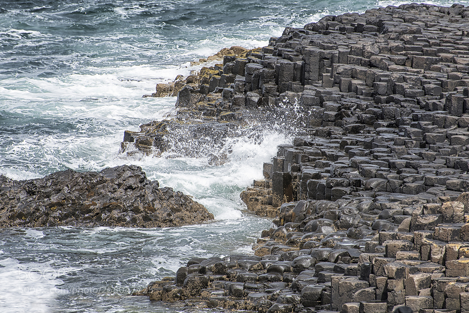 Nikon D810 sample photo. Giant's causeway photography