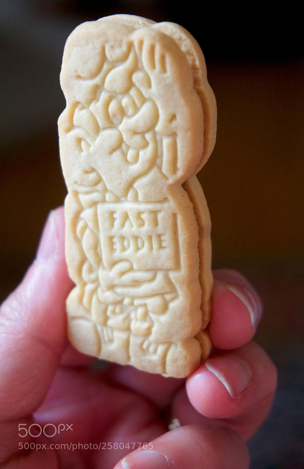 Sony a6000 sample photo. Cookie - fast eddie photography