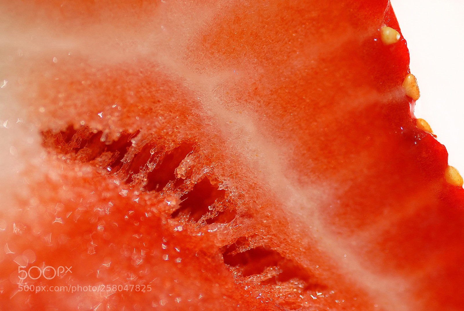 Nikon D200 sample photo. Strawberry photography