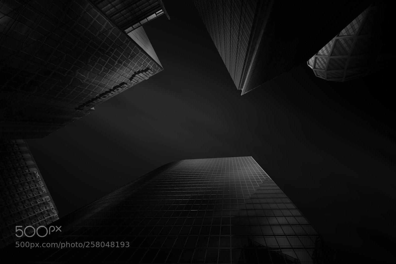 Nikon D810 sample photo. Among giants photography