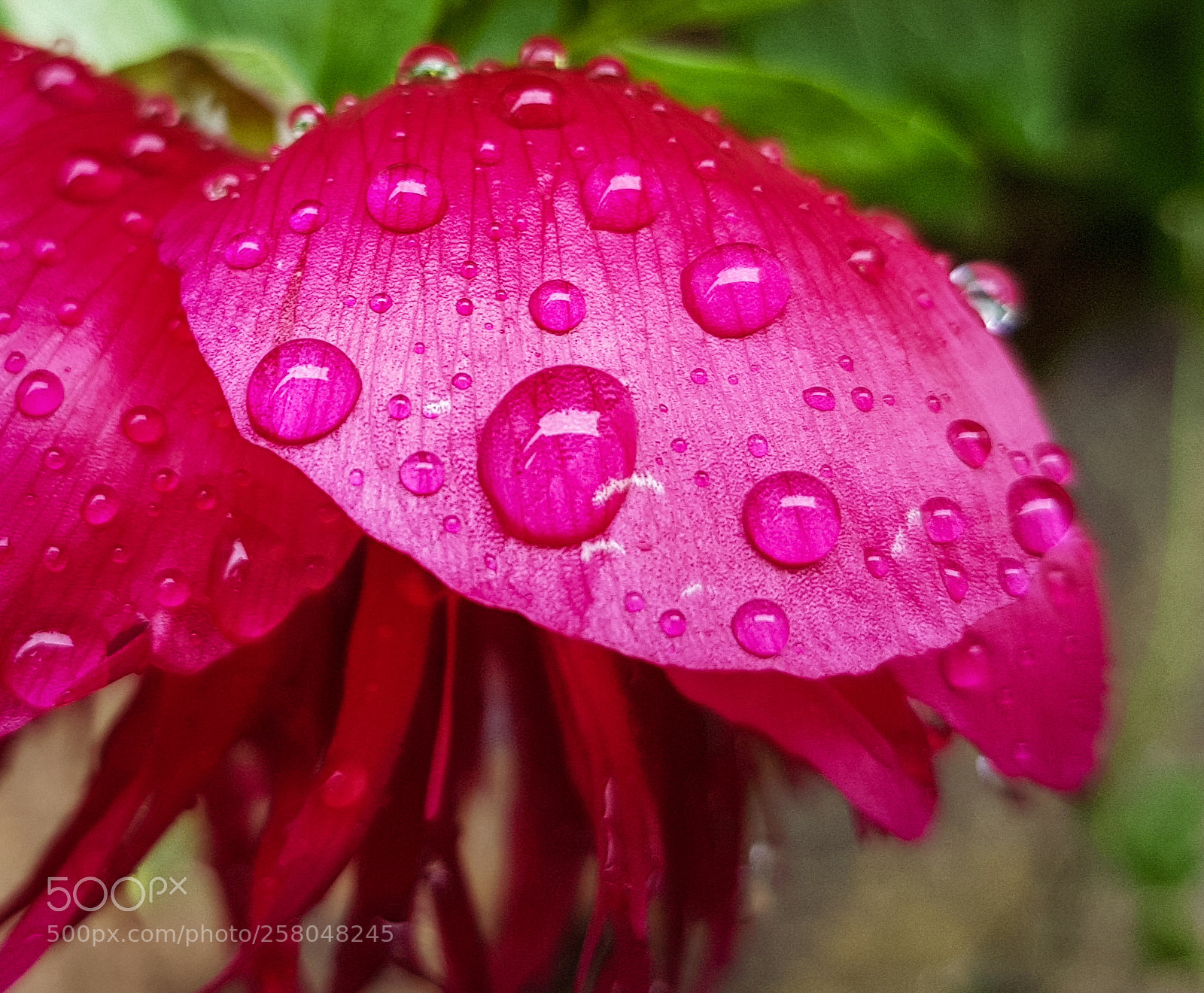 Samsung Galaxy S8 sample photo. A lot of rain photography