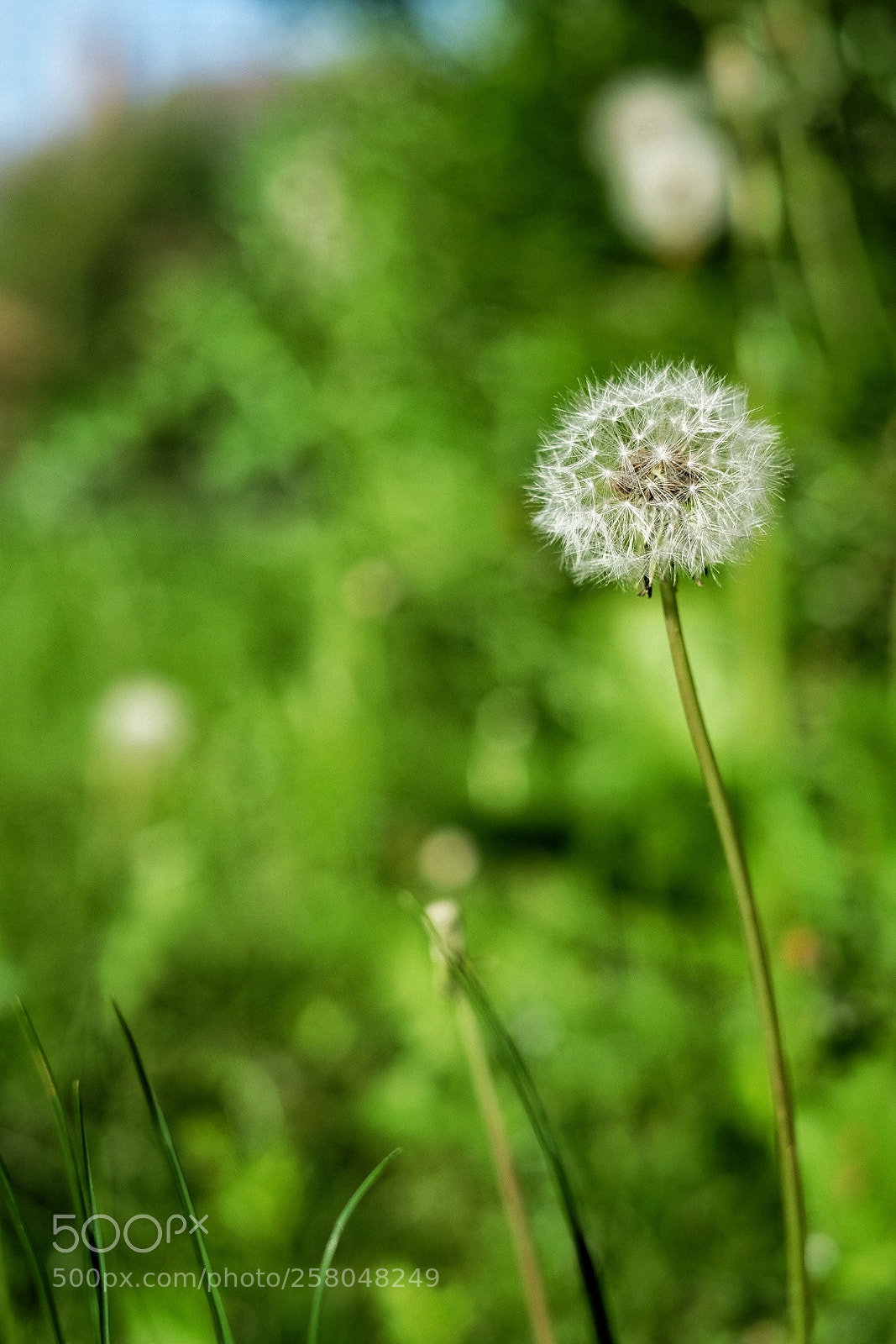 Fujifilm X-T10 sample photo. Untitled photography