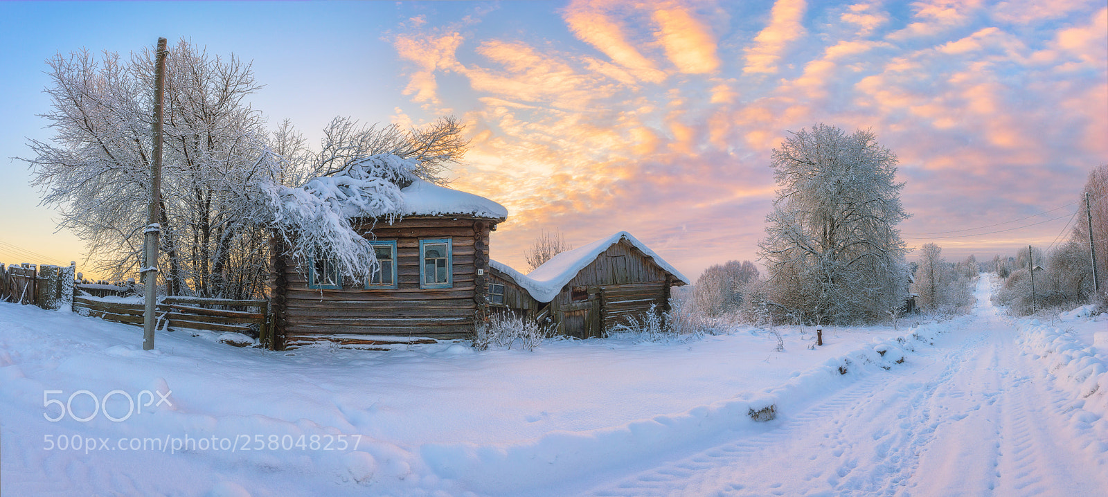 Nikon D610 sample photo. 923. winter in the photography