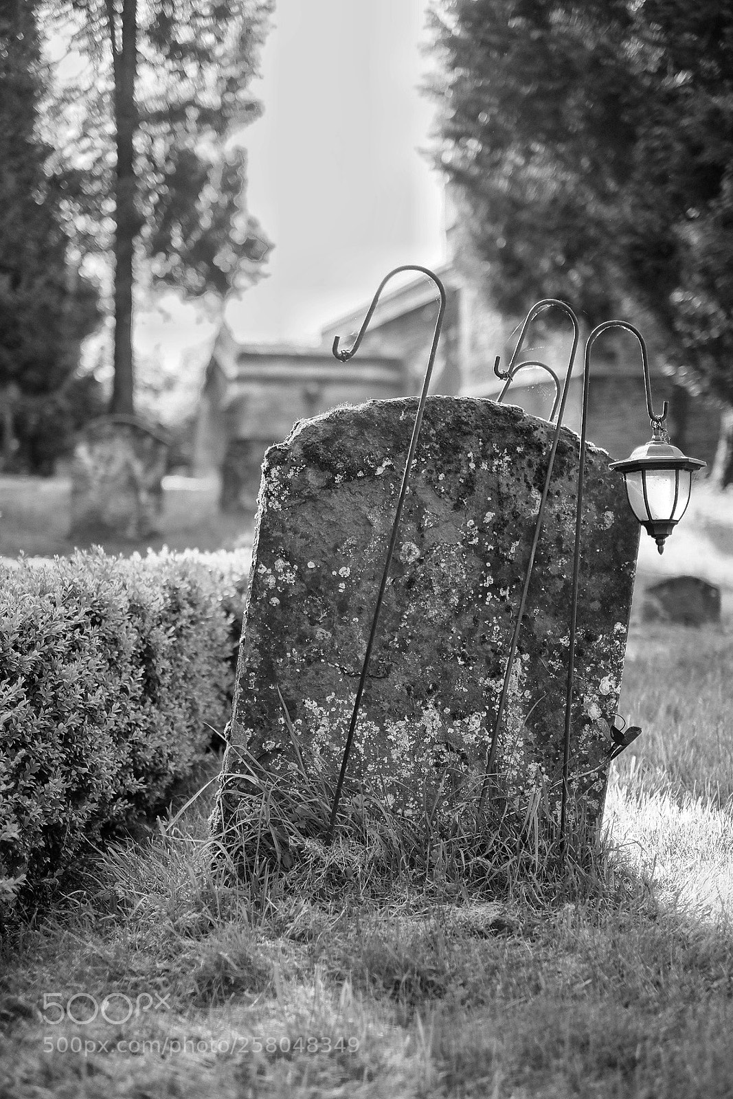 Fujifilm X-T10 sample photo. Untitled photography