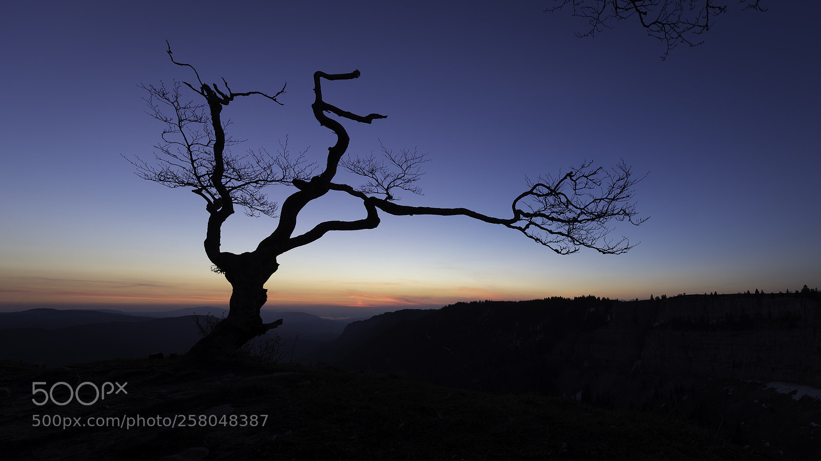 Canon EOS 5D Mark IV sample photo. Formed by wind and photography