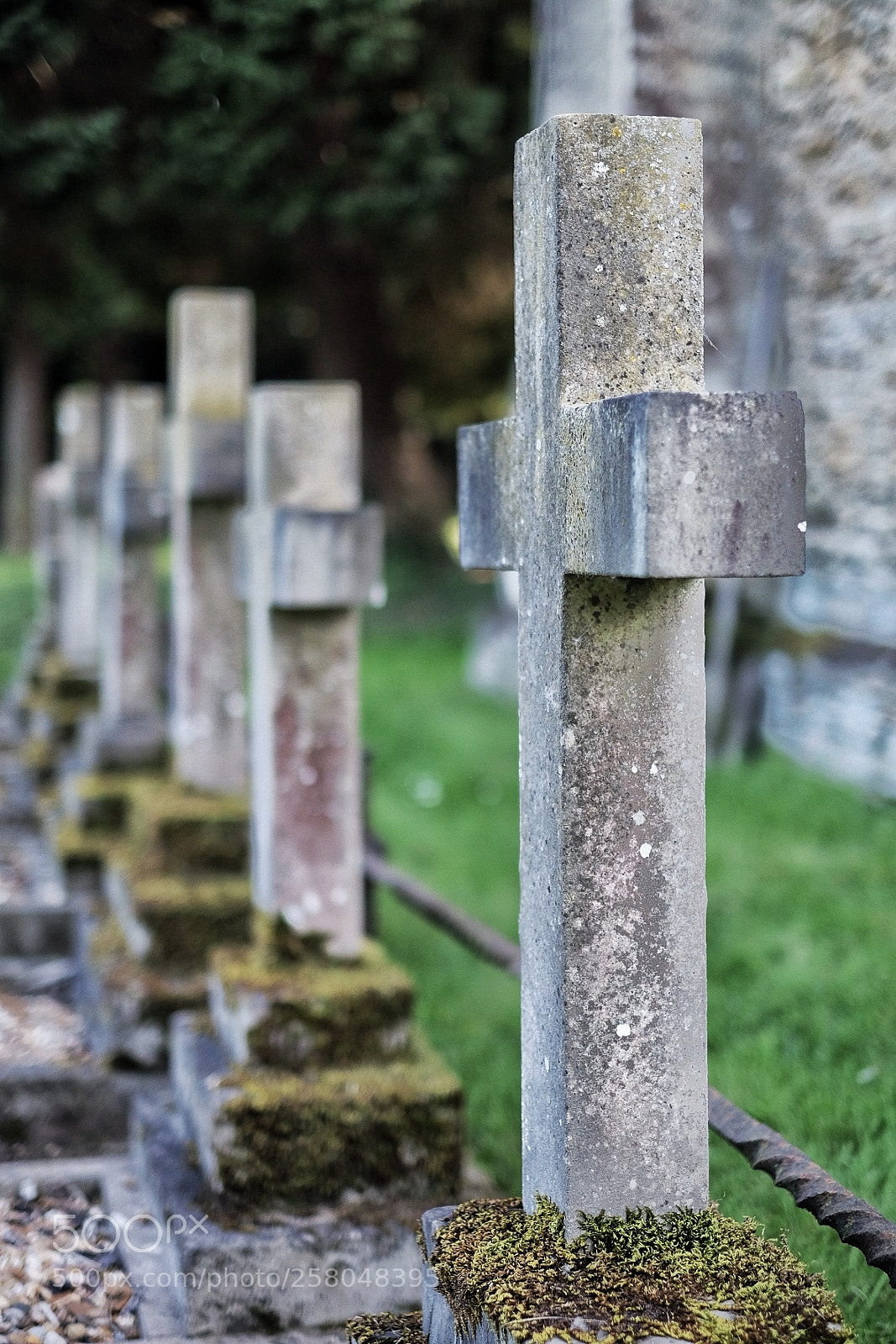 Fujifilm X-T10 sample photo. Untitled photography