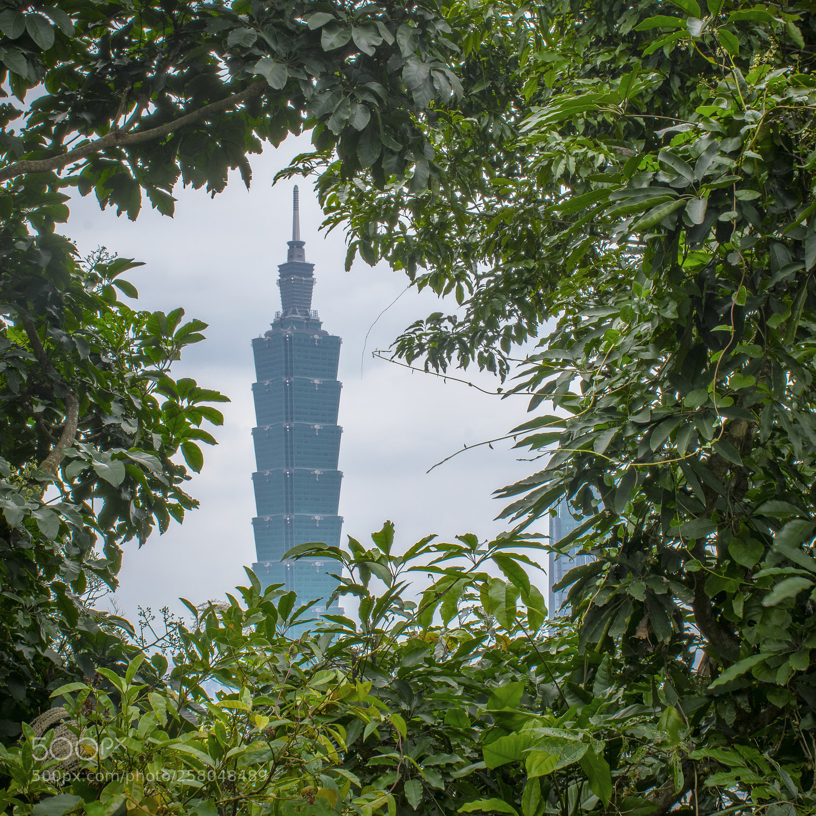 Nikon D5300 sample photo. Taipei 101 photography