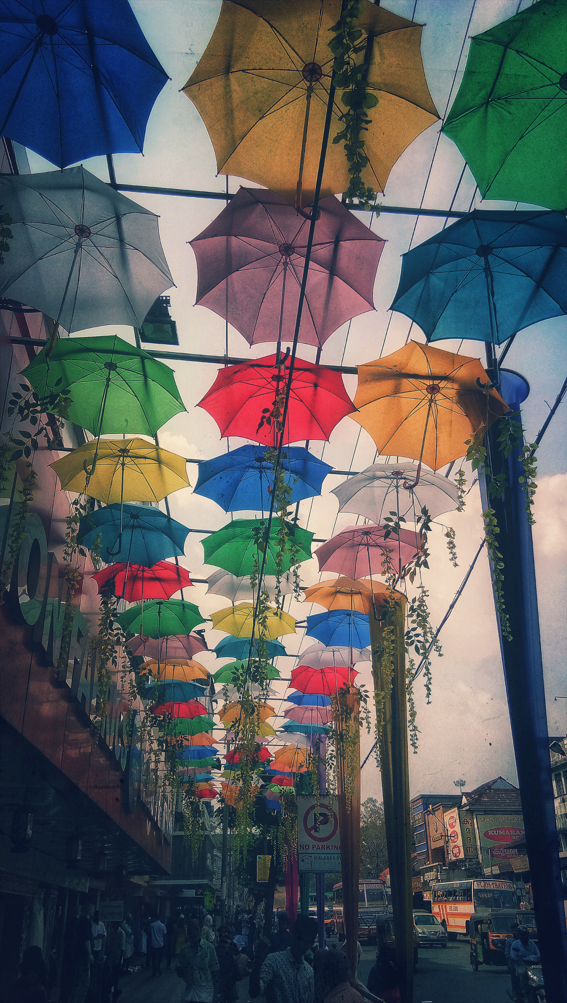 vivo 1601 sample photo
