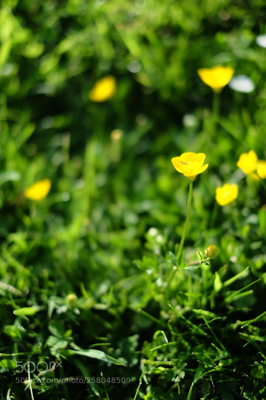 Fujifilm X-T10 sample photo. Untitled photography