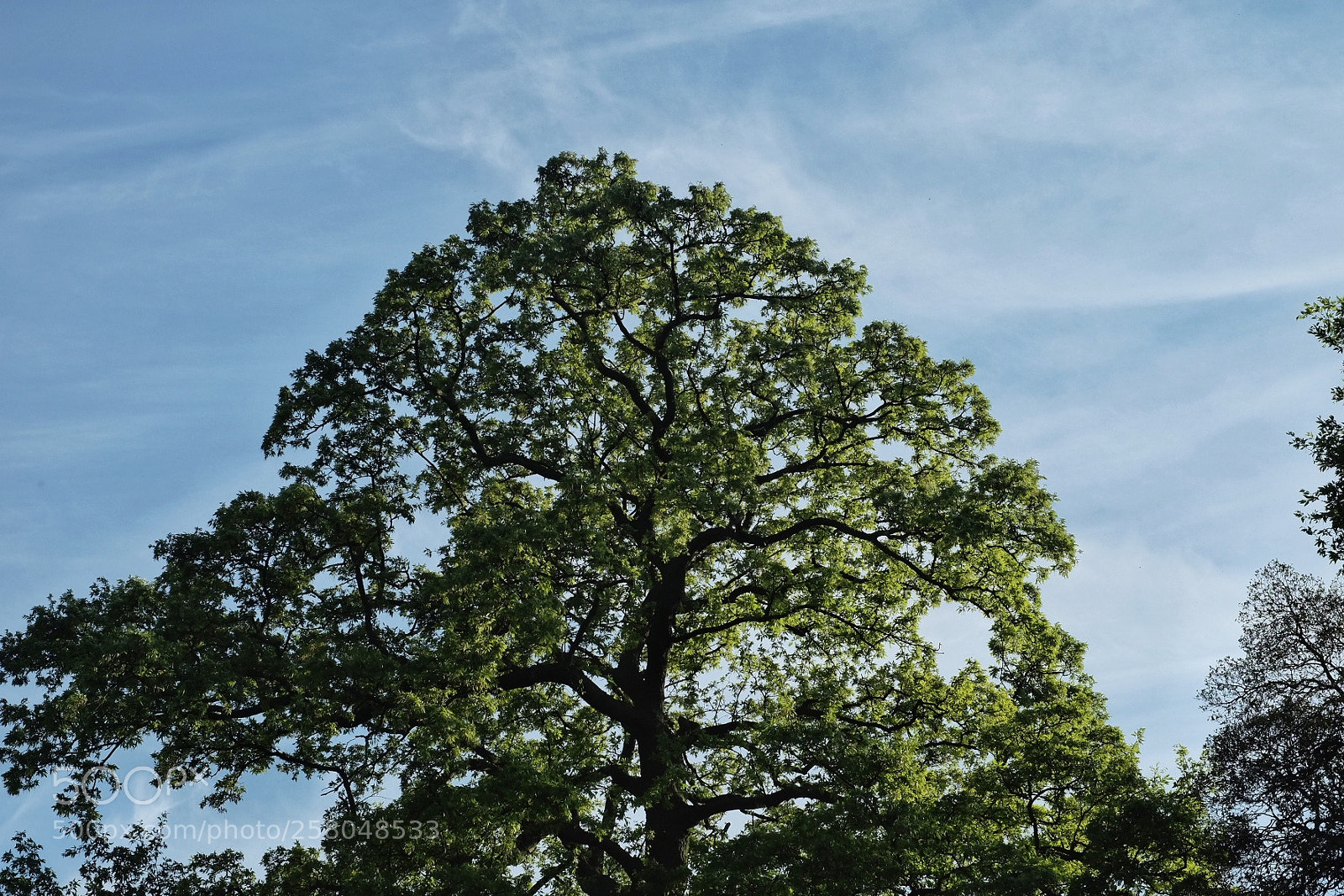 Fujifilm X-T10 sample photo. Untitled photography