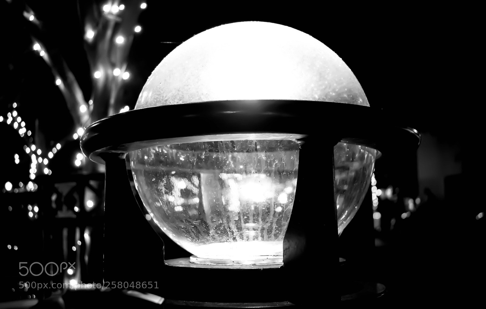 Nikon D5300 sample photo. Light photography