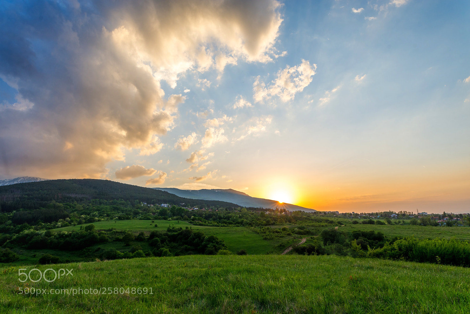 Nikon D610 sample photo. Sunset over the meadow photography