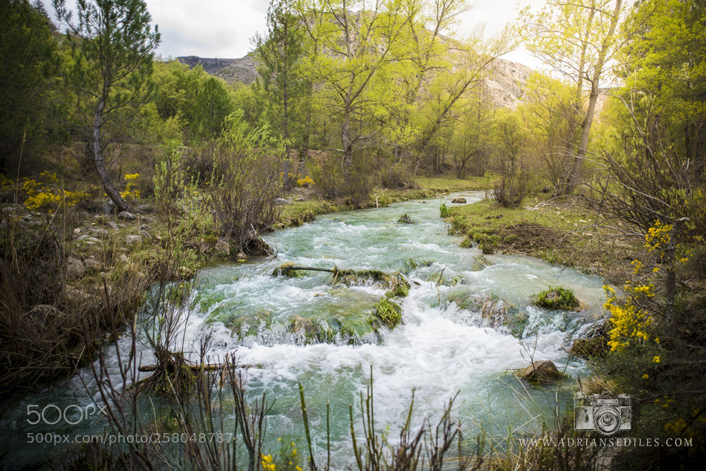 Sony a7 sample photo. Hoz mala aliaga photography