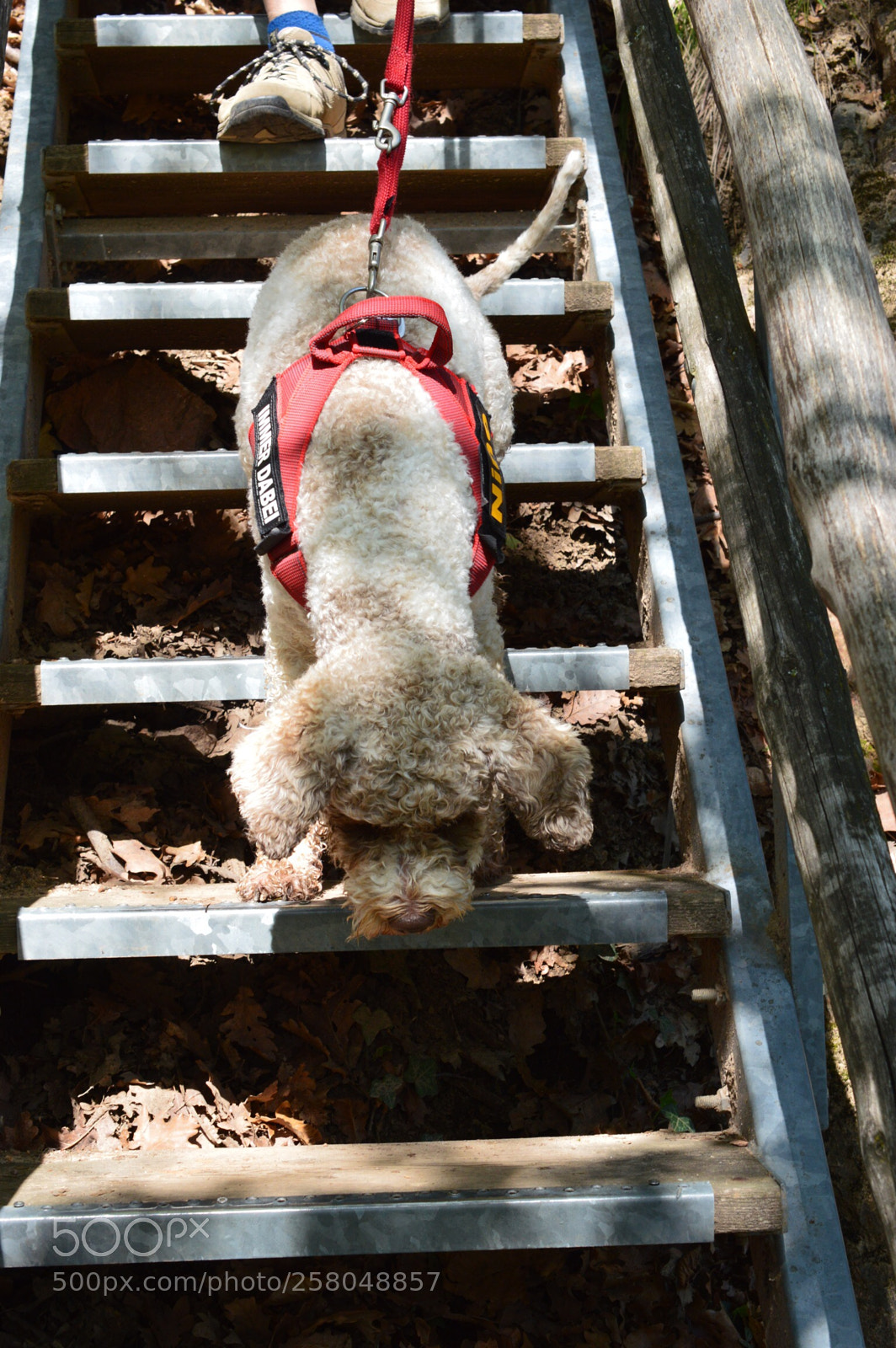 Nikon D3200 sample photo. 100% concentration photography