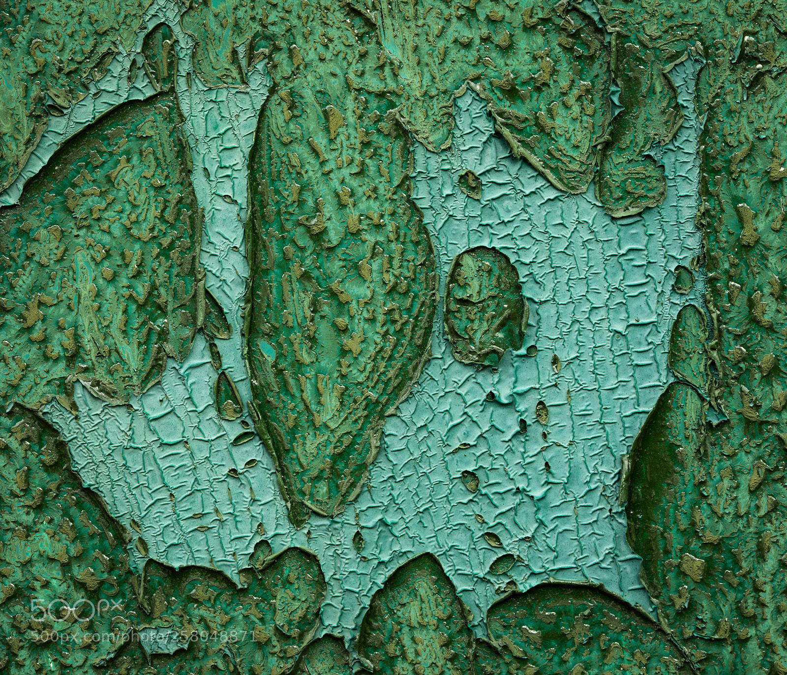 Canon EOS 5D Mark IV sample photo. Green peeling photography
