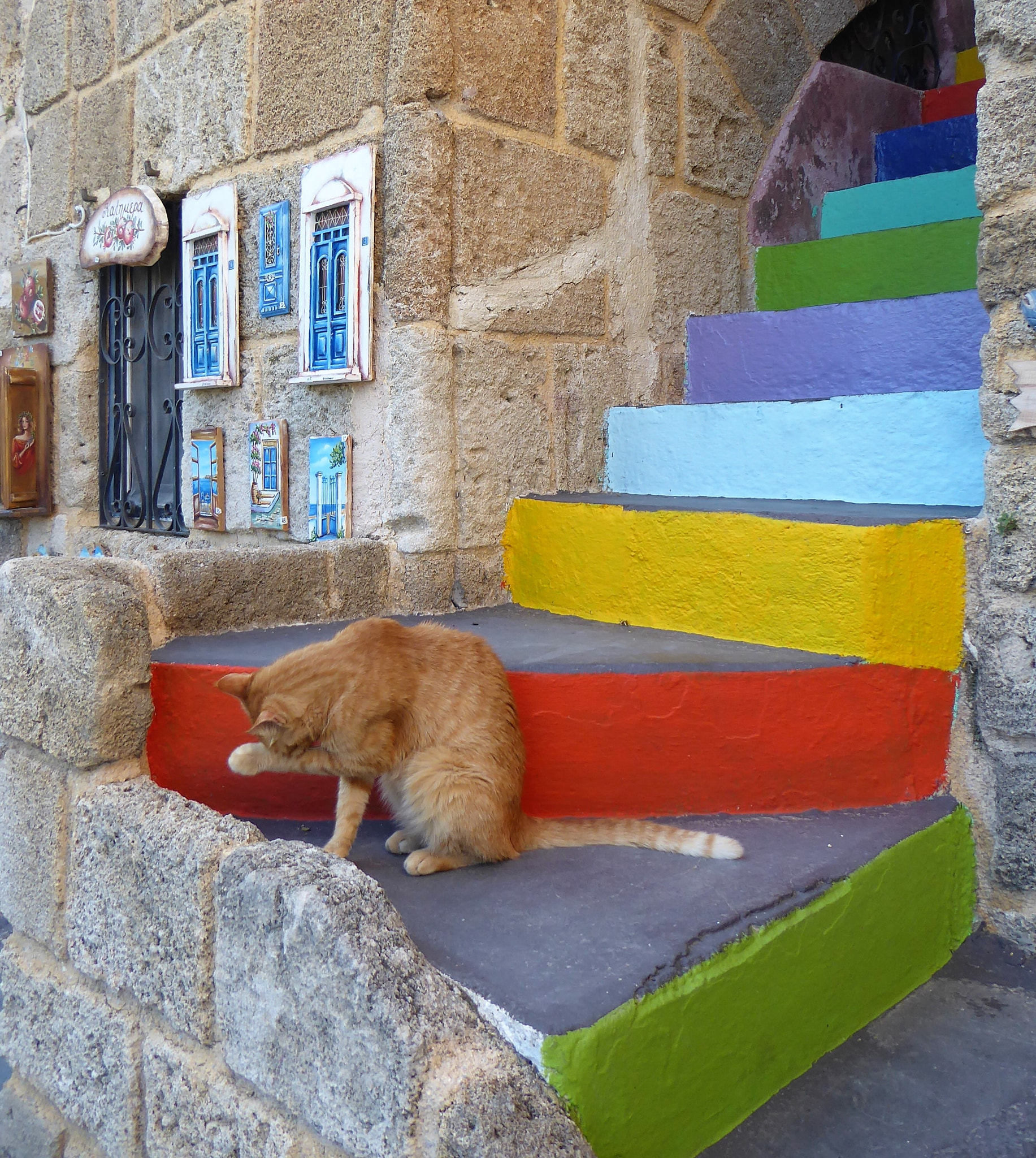 Panasonic DMC-TZ71 sample photo. Cats of rhodes iv photography