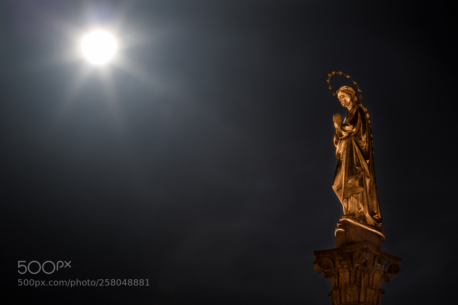 Canon EOS 77D (EOS 9000D / EOS 770D) sample photo. Please, god, turn off photography