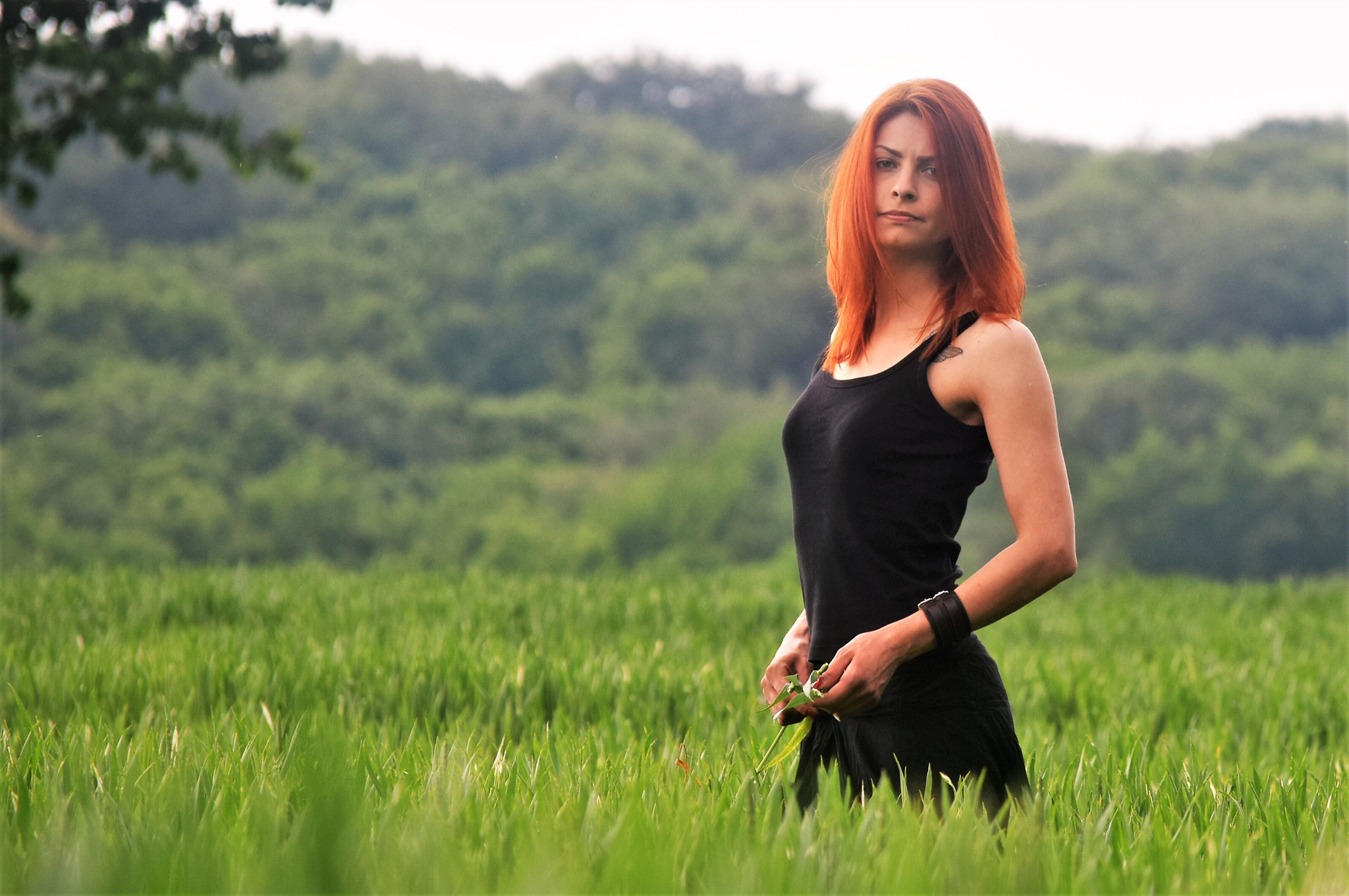 Nikon D3300 sample photo. U mladom žitu photography