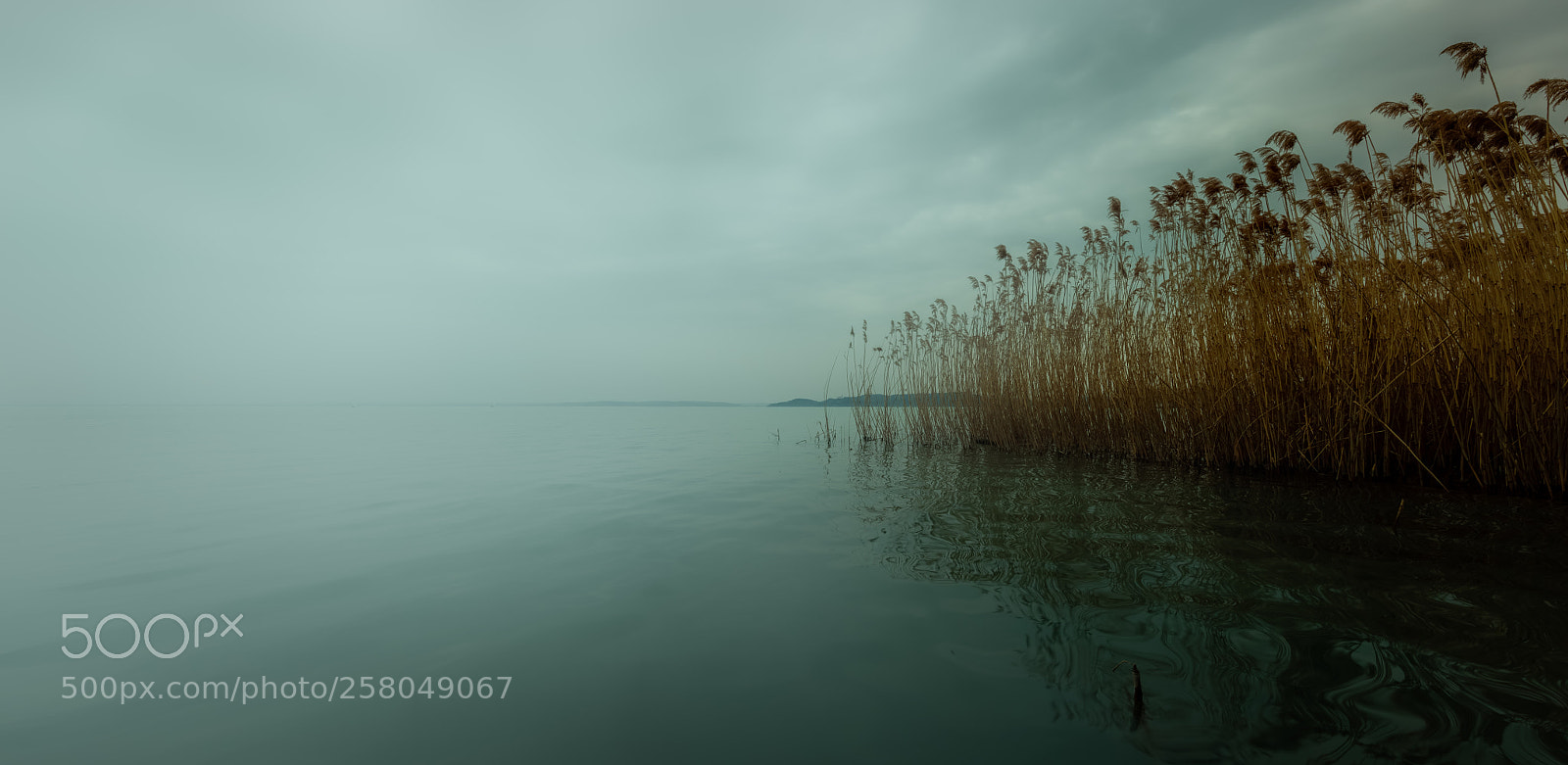 Canon EOS 5DS R sample photo. Balaton lake mist photography