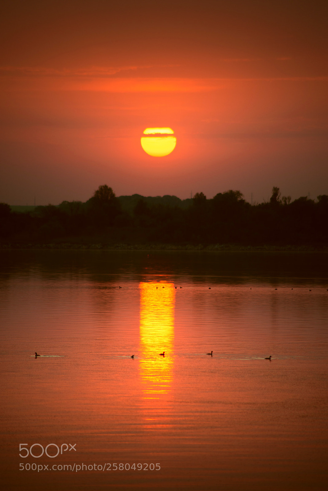Nikon D610 sample photo. Bbbbbb photography