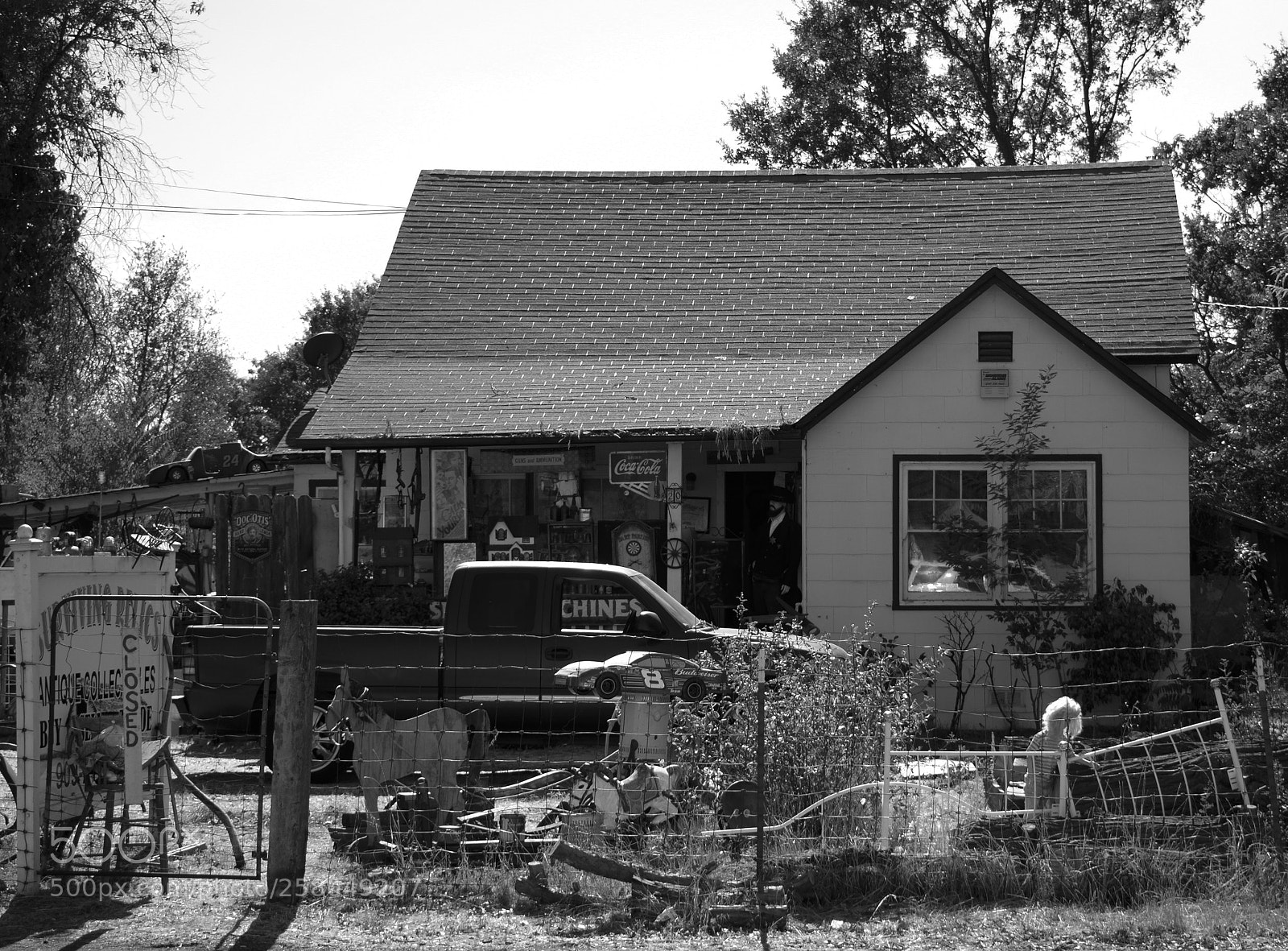 Nikon D5300 sample photo. Oddhousebw photography