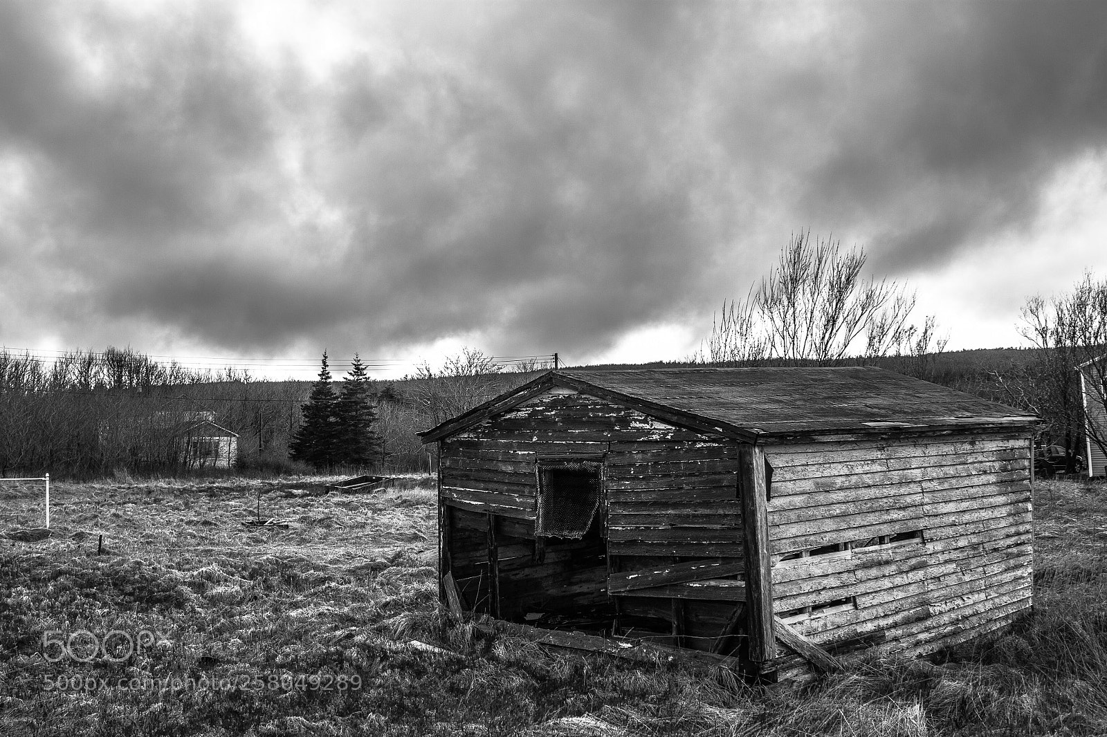 Canon EOS 500D (EOS Rebel T1i / EOS Kiss X3) sample photo. Weathered photography