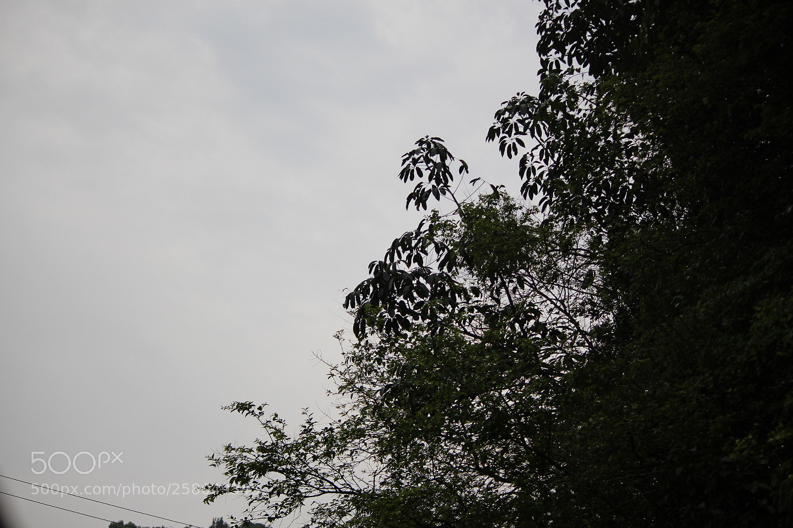 Canon EF-S 55-250mm F4-5.6 IS II sample photo. Img photography
