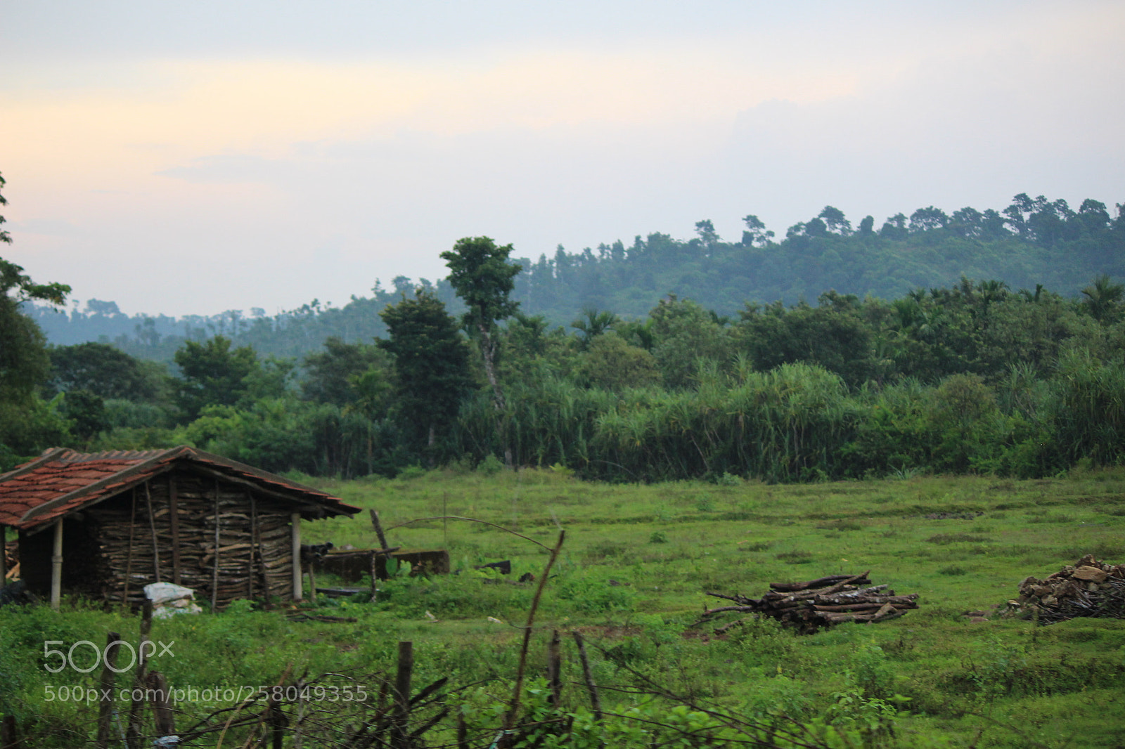 Canon EF-S 55-250mm F4-5.6 IS II sample photo. Img photography