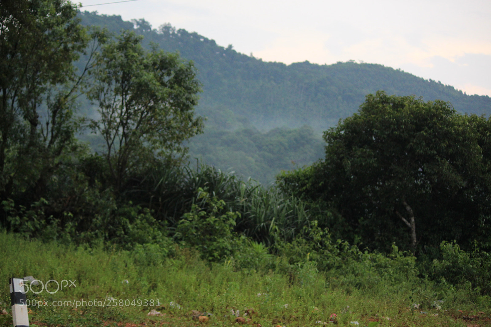 Canon EF-S 55-250mm F4-5.6 IS II sample photo. Img photography