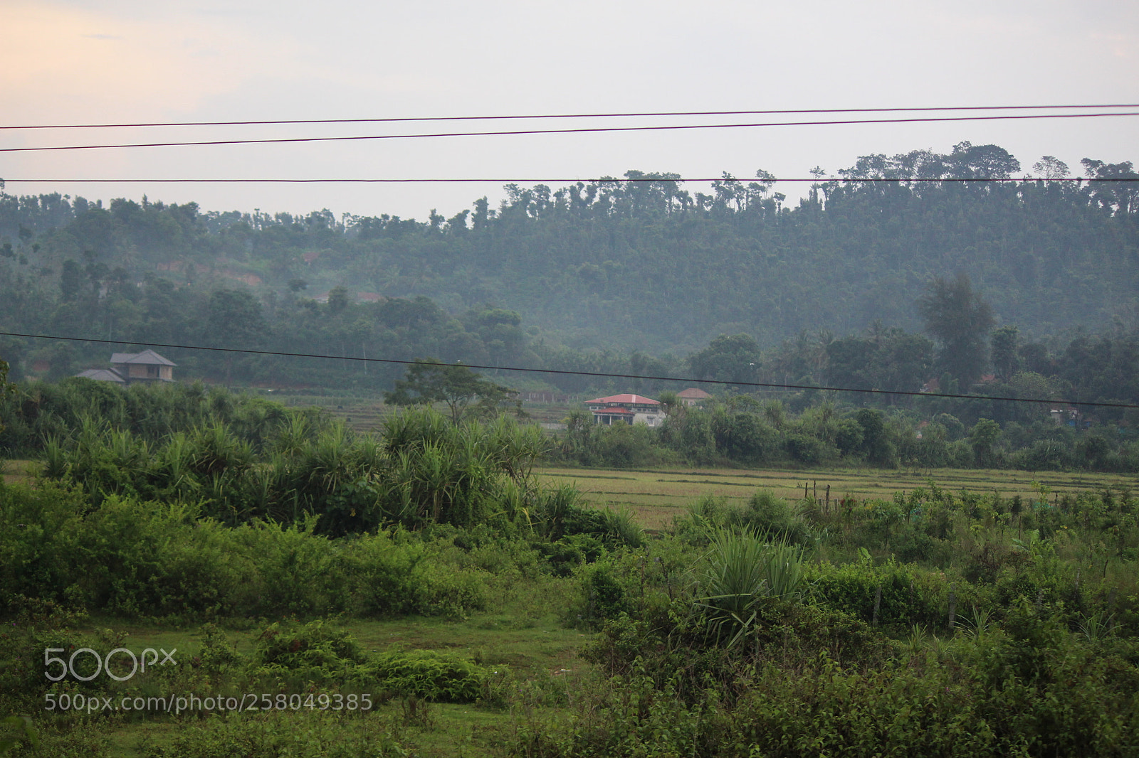 Canon EF-S 55-250mm F4-5.6 IS II sample photo. Img photography