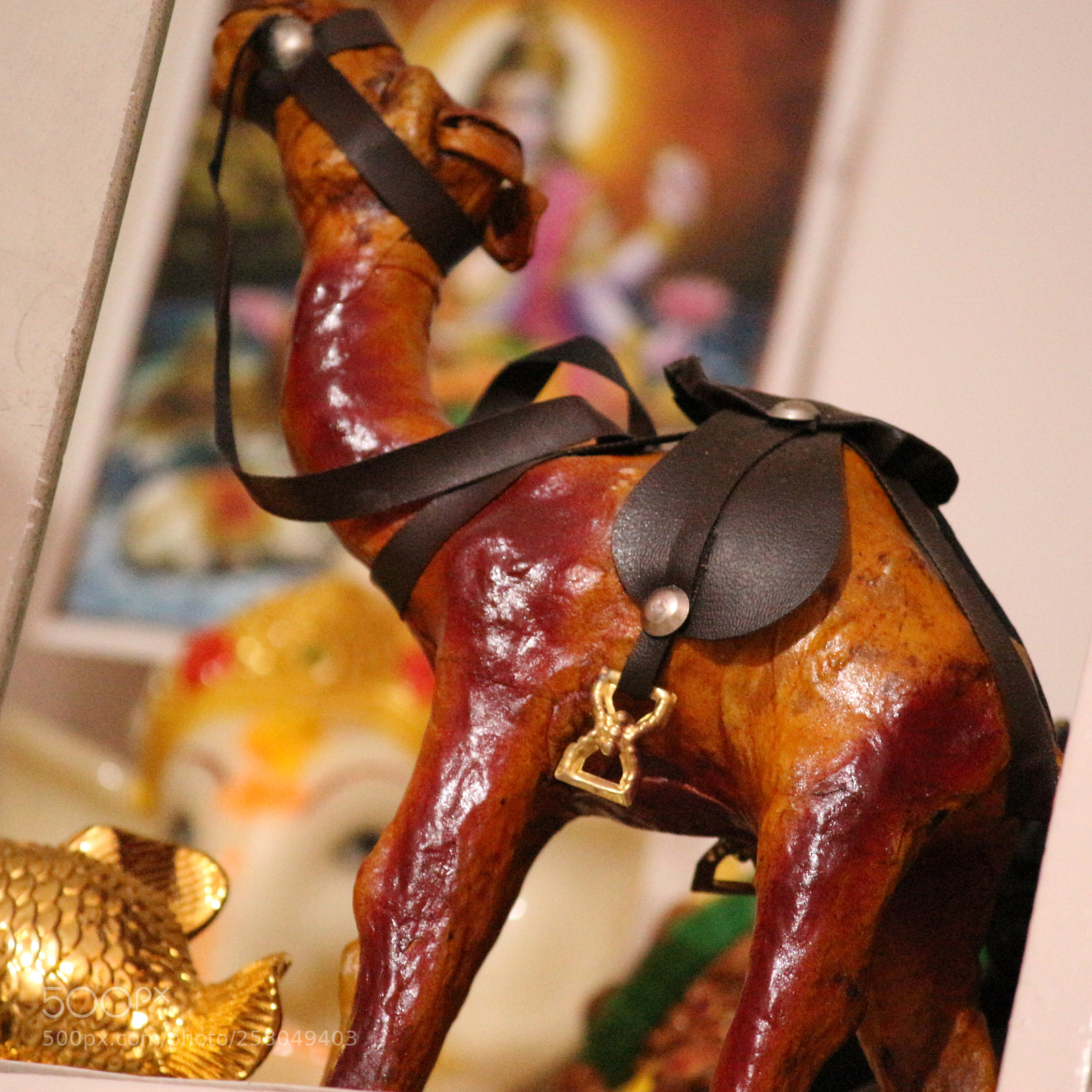 Canon EF-S 55-250mm F4-5.6 IS II sample photo. Img photography