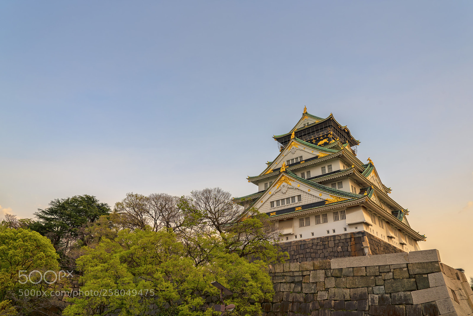 Nikon D750 sample photo. Osaka's golden hour photography