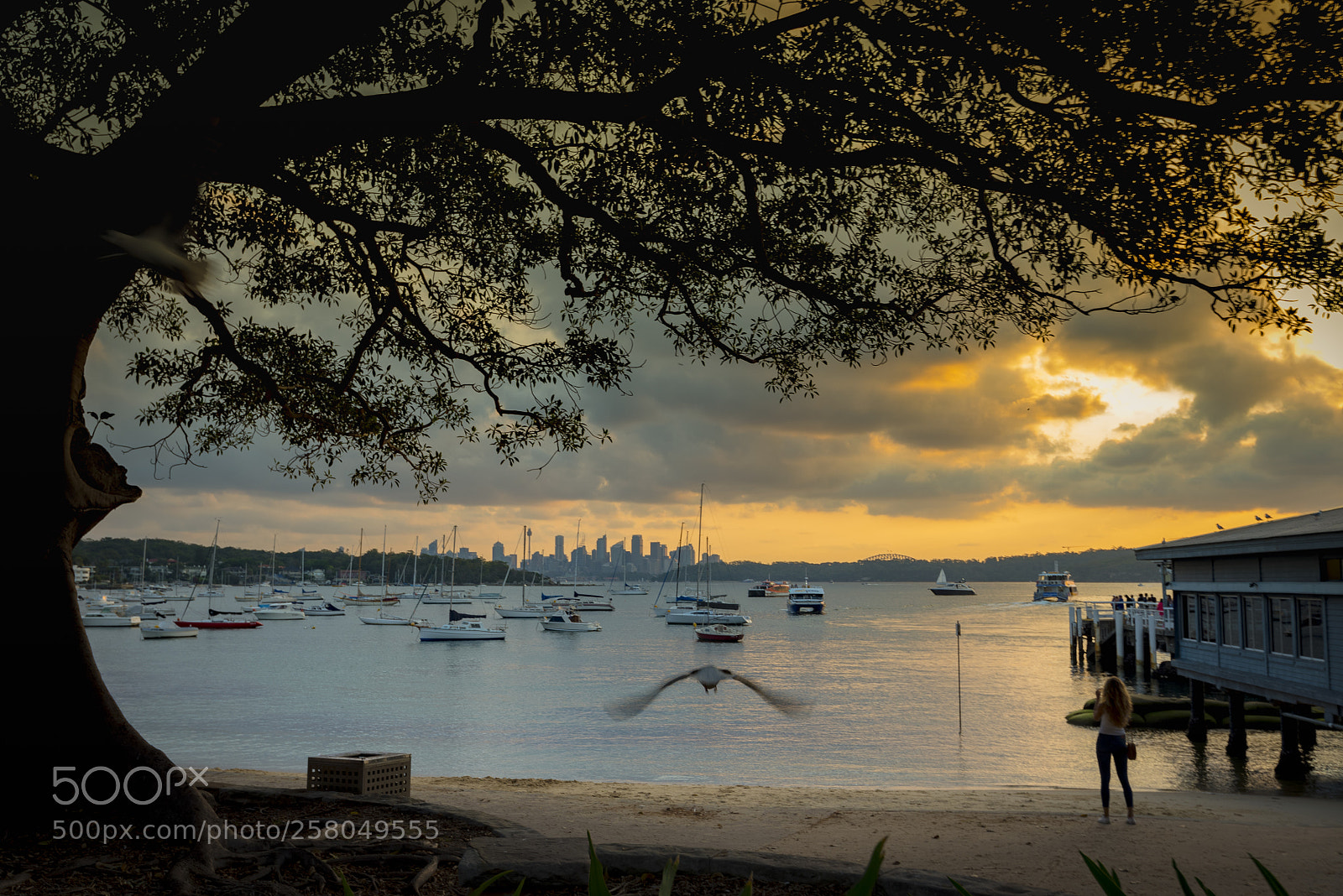 Nikon D750 sample photo. Australia, sydney, photography