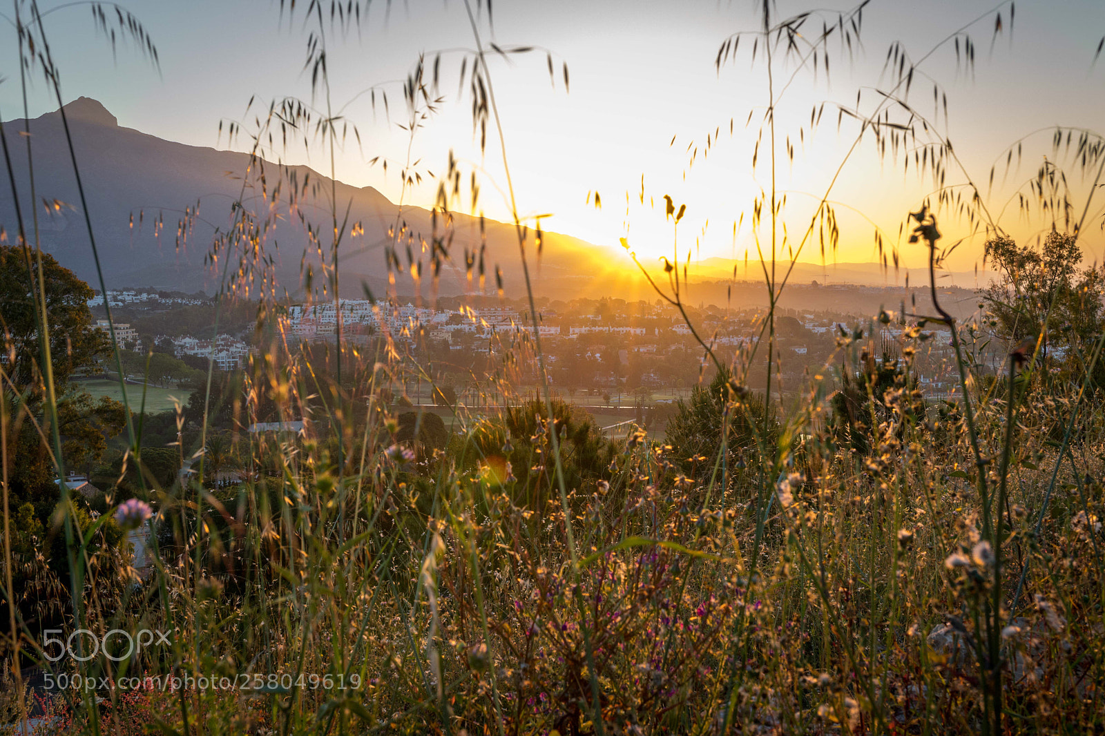 Canon EOS 6D Mark II sample photo. Amanecer nueva andalucia. photography