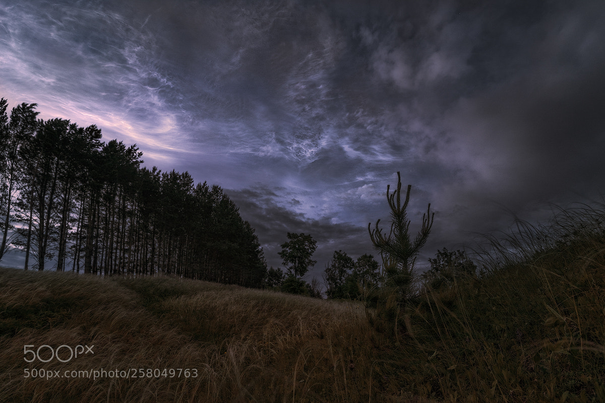 Nikon D600 sample photo. Noctilucent clouds photography