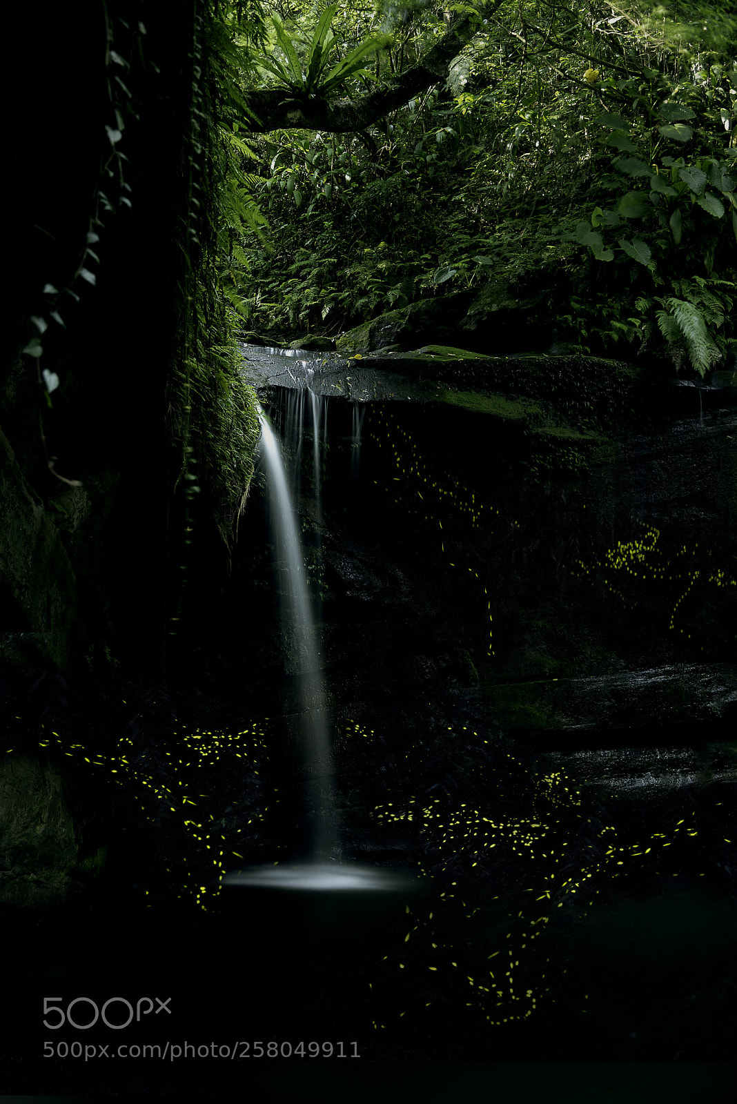 Nikon D750 sample photo. Wang gu waterfall photography