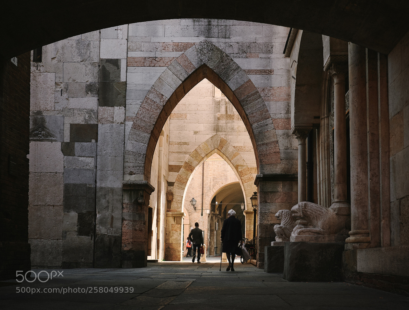 Fujifilm X-T2 sample photo. Light ark photography