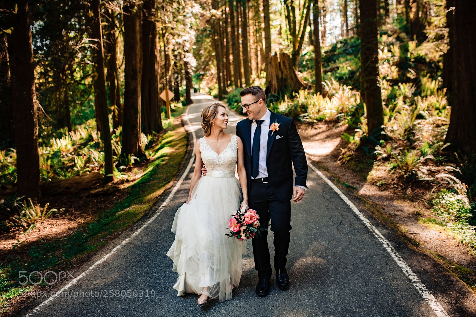 Nikon D850 sample photo. Untitled photography