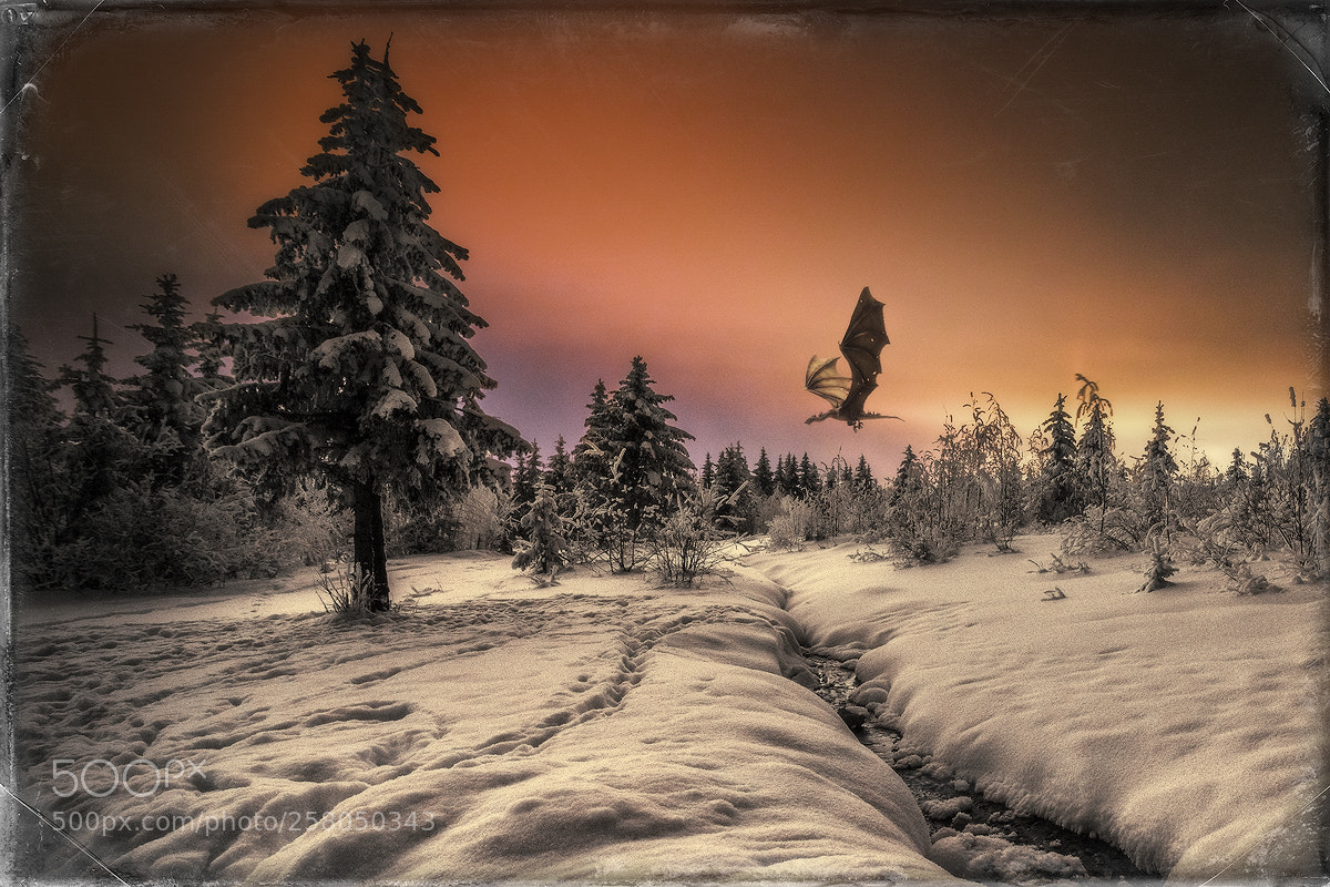 Nikon D600 sample photo. Winter in the mordor photography